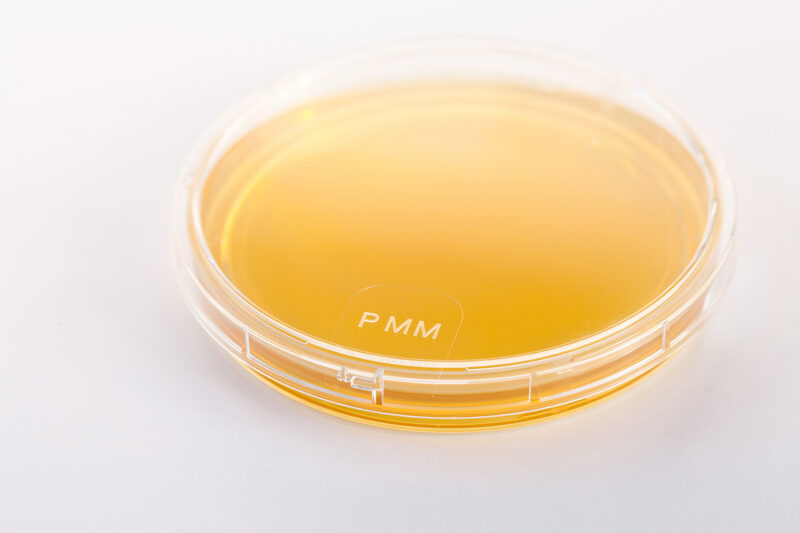 TSA + LTHT 90MM - CSG