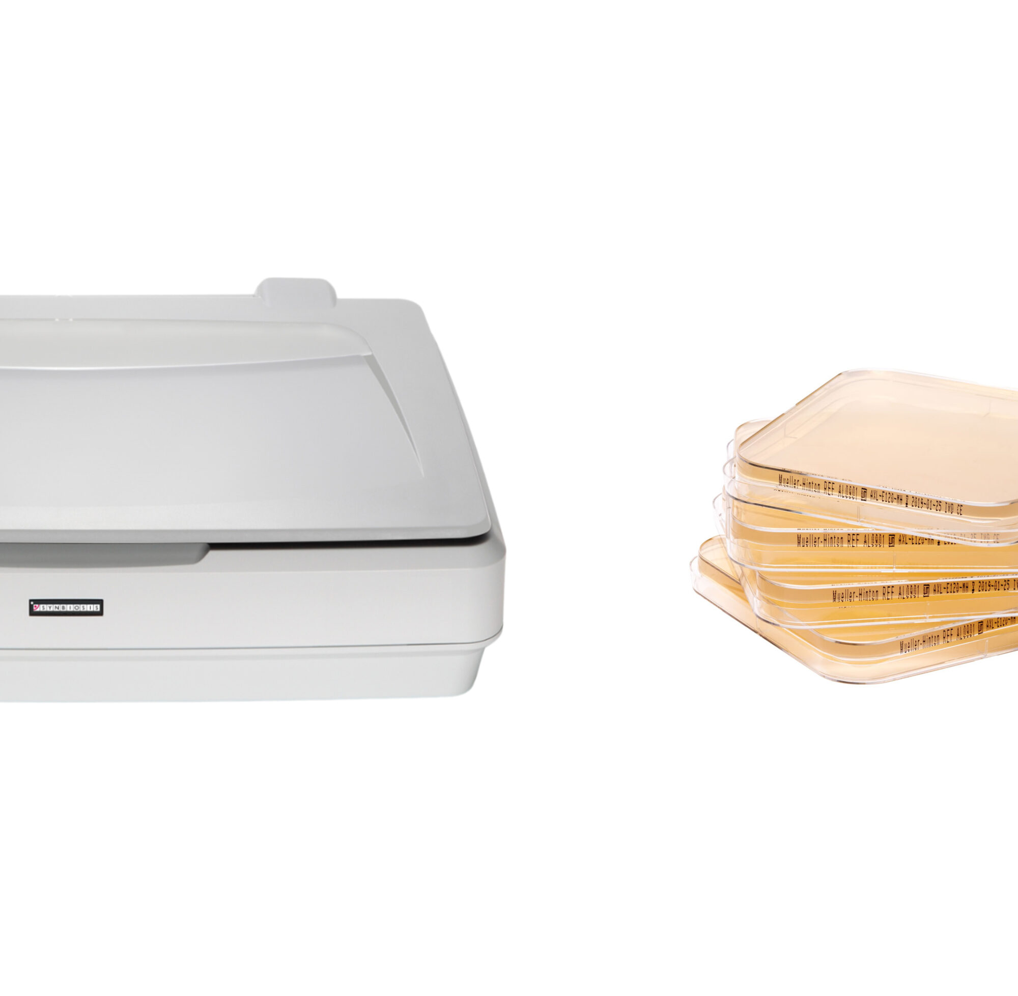 GABARIT POUR BOITE CARRÉ ATB 6X6 - PROSCAN