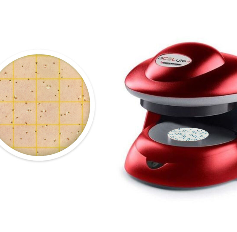 GABARIT POUR PETRIFILM - ACOLYTE 3