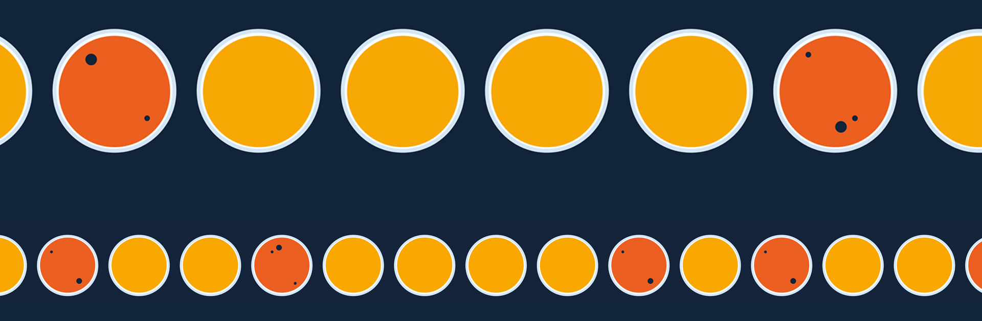 _Julius_alliance bio expertise_