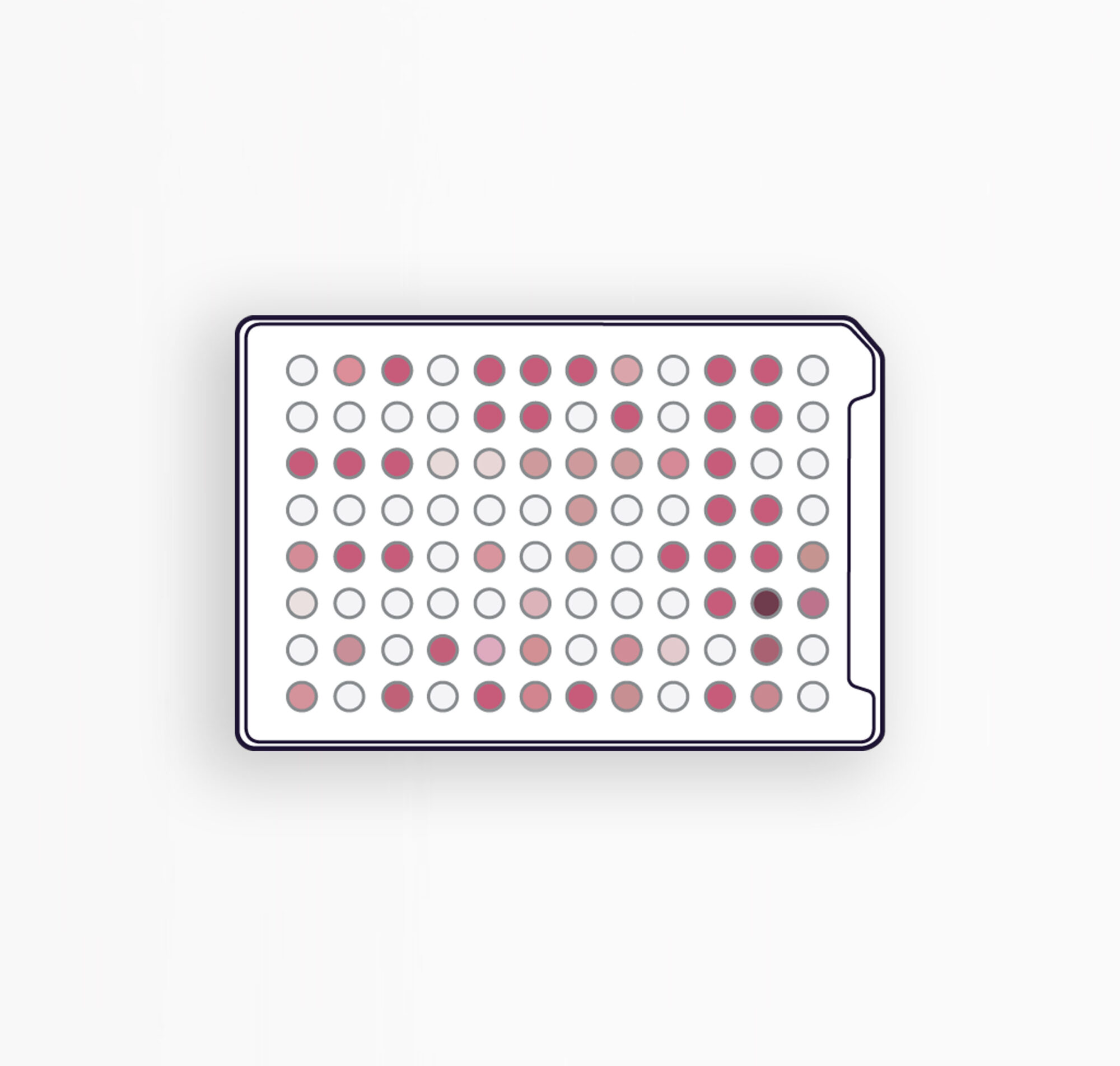 MICROPLAQUES FF - IDENTIFICATION DES CHAMPIGNONS FILAMENTEUX