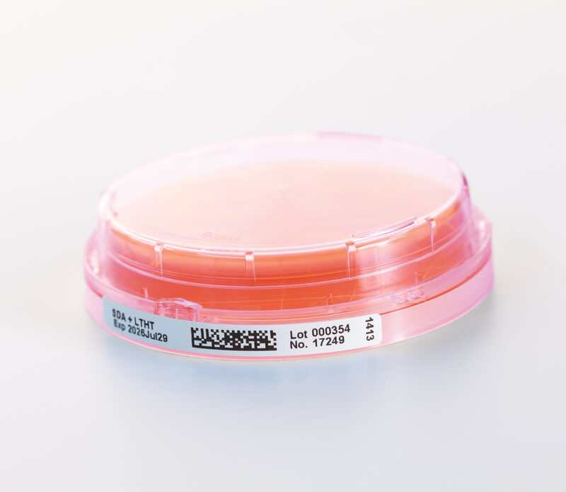 SDA + LTHT CONTACT - CSG