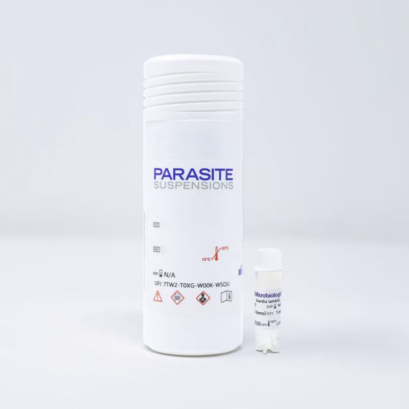 ASCARIS LUMBRICOIDES