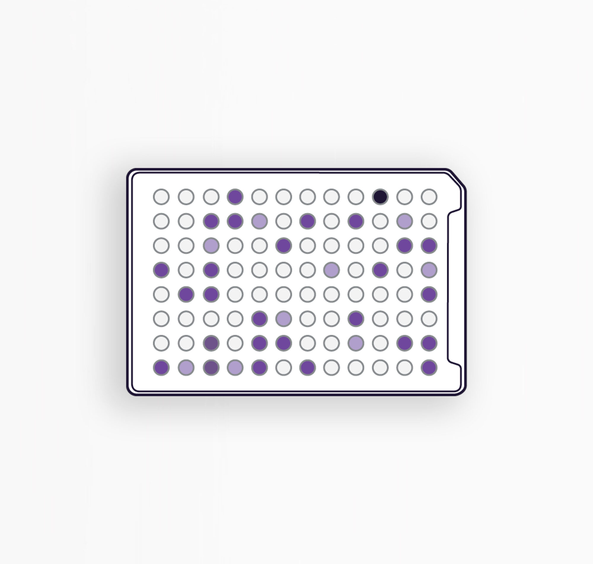 MICROPLAQUES AN - IDENTIFICATION DES BACTÉRIES ANAÉROBIES