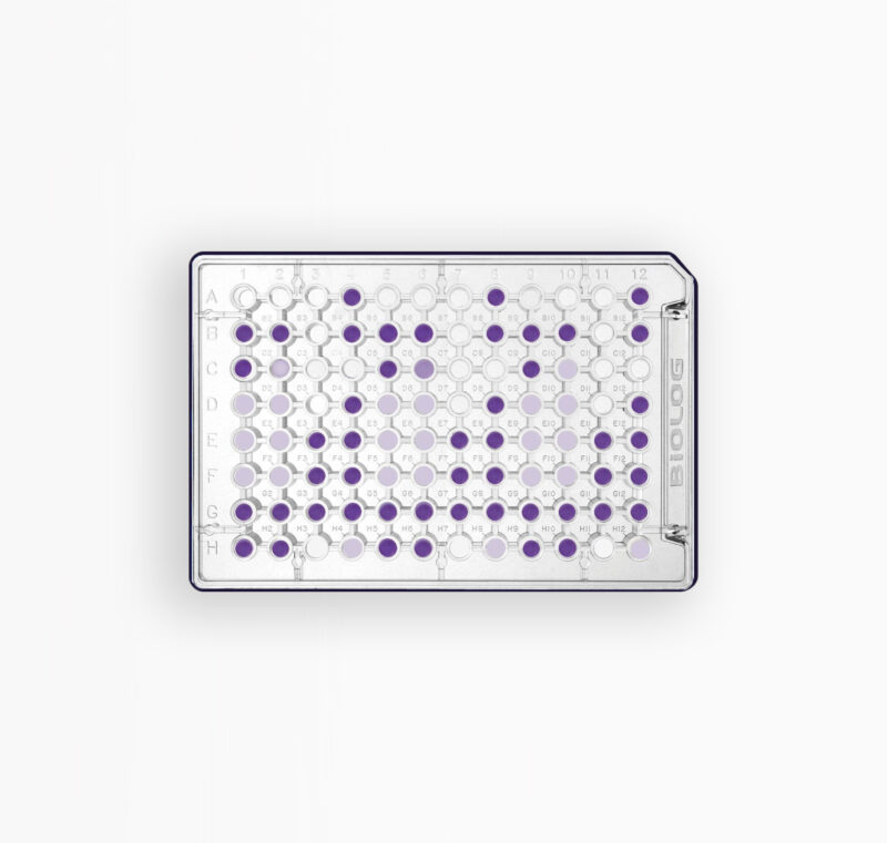 MICROPLAQUES ECO - 10 PLAQUES