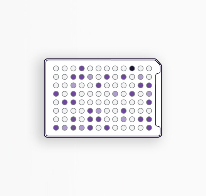 MICROPLAQUES AN - IDENTIFICATION DES BACTÉRIES ANAÉROBIES