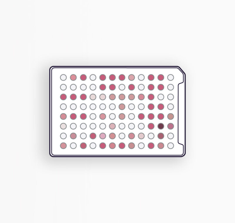 MICROPLAQUES FF - IDENTIFICATION DES CHAMPIGNONS FILAMENTEUX