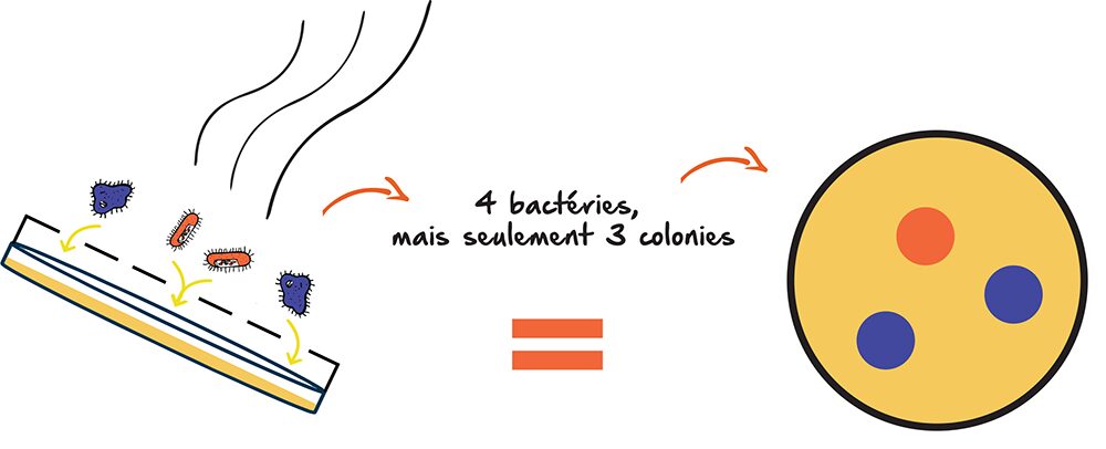 table de correction des résultats - biocollecteur