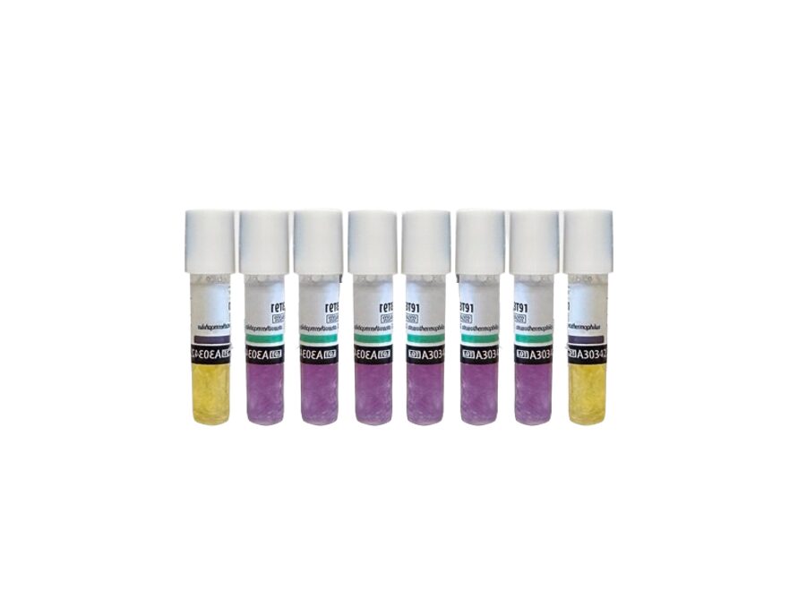 BIOLOGICAL INDICATORS X8 - MYCOFOG