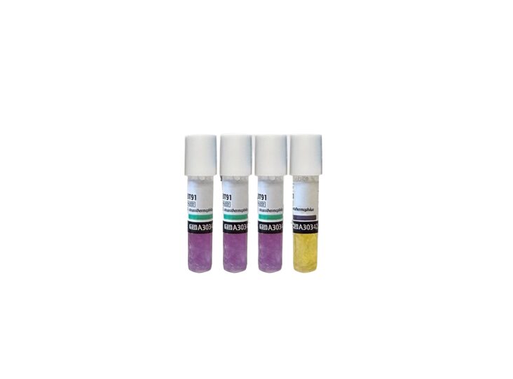 BIOLOGICAL INDICATORS X10 - MYCOFOG