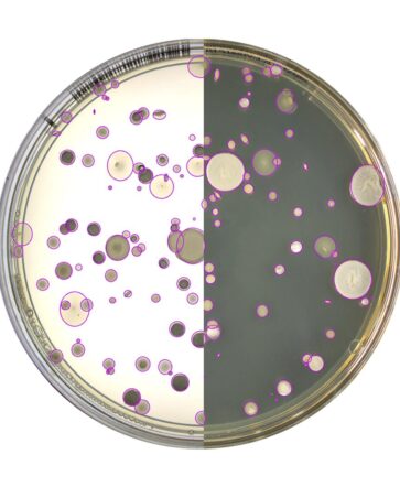plate dual ilumination julius - alliance bio expertise