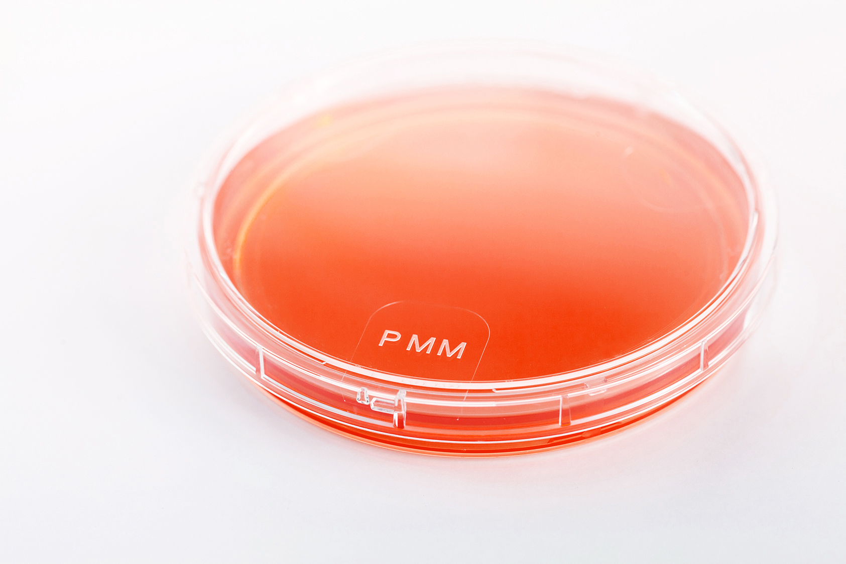 BURKHOLDERIA CEPACIA COMPLEX SELECTIVE AGAR - CS