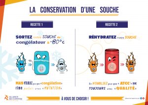 conservation-des-souches