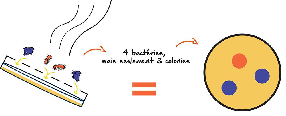 aspiration-bio-collecteur