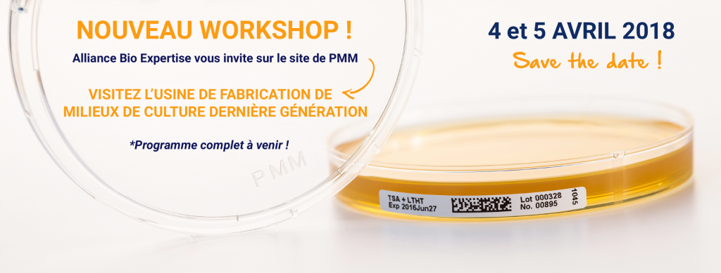 workshop-pmm