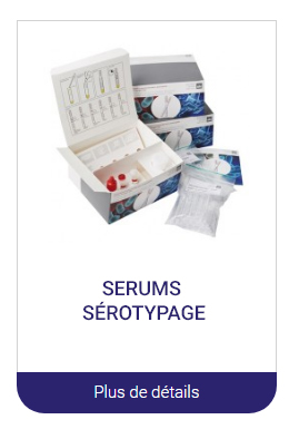 serum serotypage