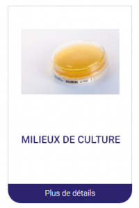 milieu de culture