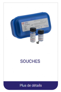souches